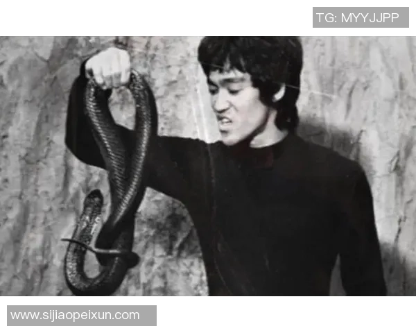 足球明星李小龙的精彩瞬间与传奇人生照片回顾