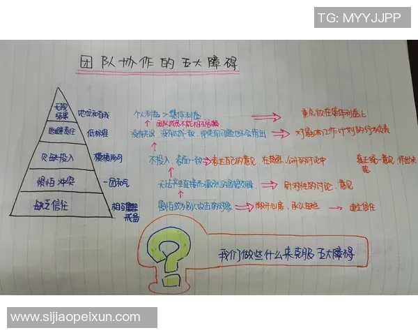 武汉篮球队的团队协作精神与比赛表现的深度剖析与探讨
