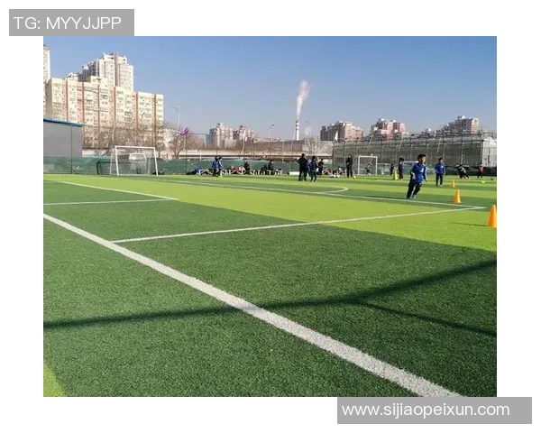 西安足球队的团队协作揭秘：如何在绿茵场上共创辉煌